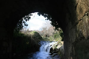 La Alberca