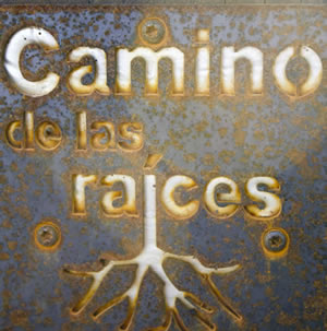 Rutas de Senderismo - Camino de las Raices